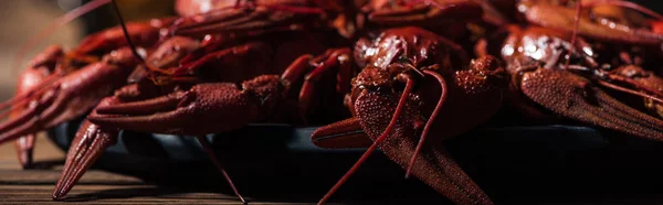 Prise de vue panoramique de homards rouges sur une surface en bois — Photo de stock