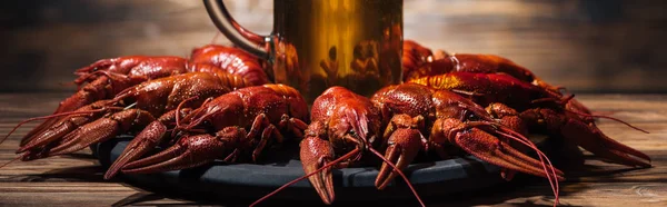 Panoramic shot of beer glass on plate with red lobsters at wooden surface — Stock Photo