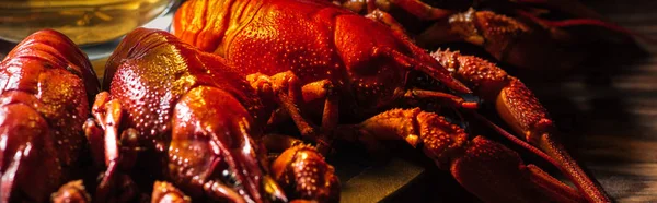 Plan panoramique de verre à bière sur assiette avec homards rouges à la surface en bois — Photo de stock