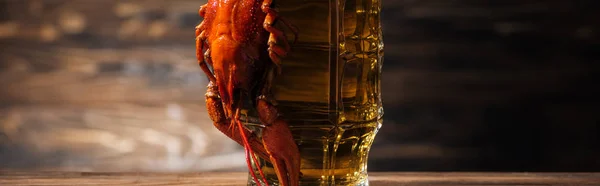 Tiro panorâmico de lagosta vermelha em vidro de cerveja na superfície de madeira — Fotografia de Stock