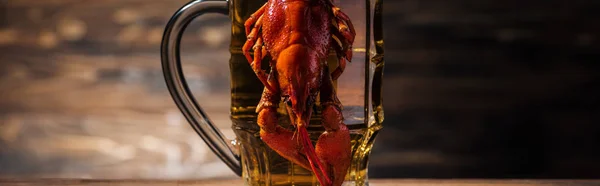 Tiro panorâmico de lagosta vermelha em vidro de cerveja na superfície de madeira — Fotografia de Stock