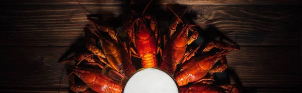 Panoramic shot of beer glass on plate with red lobsters at wooden surface — Stock Photo