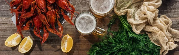 Panoramic shot of red lobsters, dill, lemon slices, textile and glasses with beer on wooden surface — Stock Photo