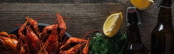 Panoramic shot of red lobsters, lemon slices, dill and glass bottles with beer on wooden surface — Stock Photo