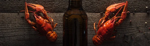 Plano panorámico de langostas rojas y botella de vidrio con cerveza en la superficie de madera - foto de stock