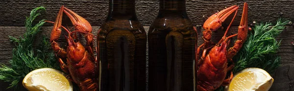 Plano panorámico de langostas rojas, rodajas de limón, eneldo y botellas de vidrio con cerveza en la superficie de madera - foto de stock