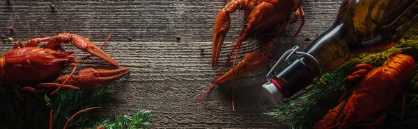 Panoramic shot of red lobsters, dill and glass bottle with beer on wooden surface — Stock Photo