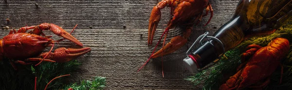 Prise de vue panoramique de homards rouges, d'aneth et de bouteille en verre avec bière sur surface en bois — Photo de stock