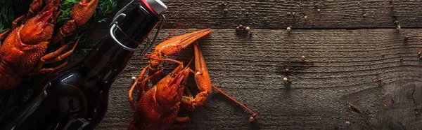 Tiro panorâmico de lagostas vermelhas, endro e garrafa de vidro com cerveja na superfície de madeira — Fotografia de Stock