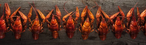 Prise de vue panoramique de homards rouges sur une surface en bois — Photo de stock