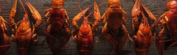 Prise de vue panoramique de homards rouges sur une surface en bois — Photo de stock