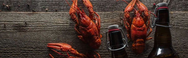 Panoramic shot of red lobsters and glass bottle on wooden surface — Stock Photo