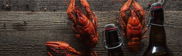 Plan panoramique de homards rouges et bouteille en verre sur une surface en bois — Photo de stock