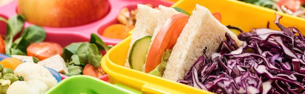 Panoramic shot of lunch boxes with food, close up view — Stock Photo