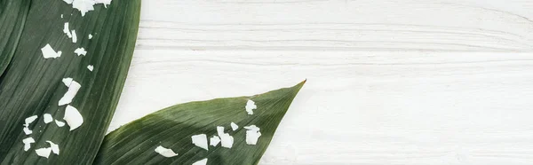 Vue de dessus des feuilles de palmier vert avec des flocons de noix de coco sur la surface en bois, vue panoramique — Photo de stock