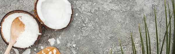 Top view of coconut halves and flakes on grey textured background with copy space, panoramic shot — Stock Photo