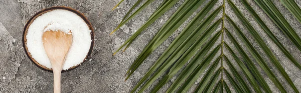 Top view of coconut shavings with wooden spoon on grey textured background with palm leaf, panoramic shot — Stock Photo