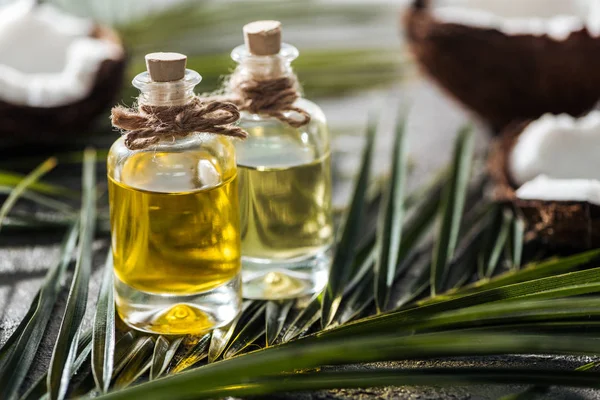 Enfoque selectivo de botellas con aceite de coco en hojas de palma verde cerca de cocos - foto de stock