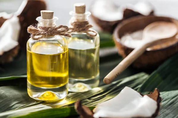 Selektiver Fokus von Flaschen mit Kokosöl in der Nähe von geknackten Kokosnüssen auf grünen Palmblättern — Stockfoto