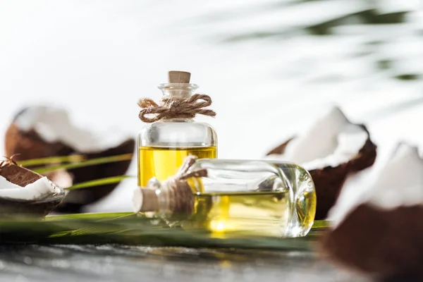 Selective focus of bottles with coconut oil near cracked coconuts and palm leaves — Stock Photo