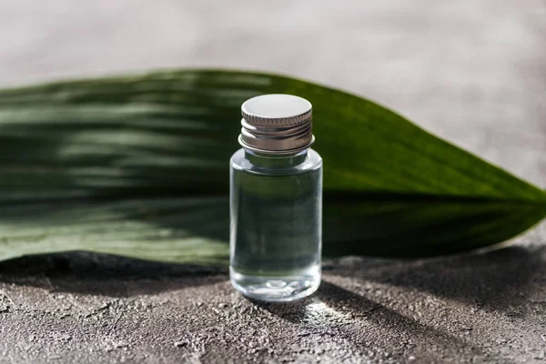 Foyer sélectif de la bouteille avec de l'eau de coco près de la feuille de palmier sur fond gris texturé — Photo de stock