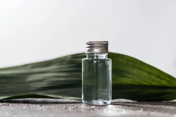 Foco seletivo de garrafa com água de coco perto da folha de palma sobre fundo texturizado cinza isolado em cinza — Fotografia de Stock