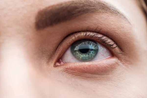 Close up view of young woman green eye with eyelashes and eyebrow — Stock Photo