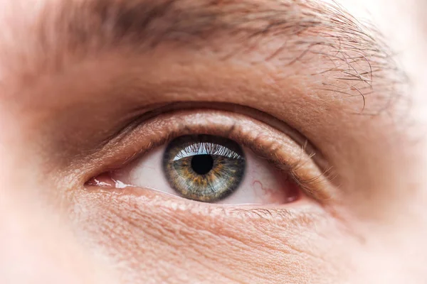 Vista de cerca del ojo del hombre adulto con pestañas y cejas mirando hacia otro lado - foto de stock