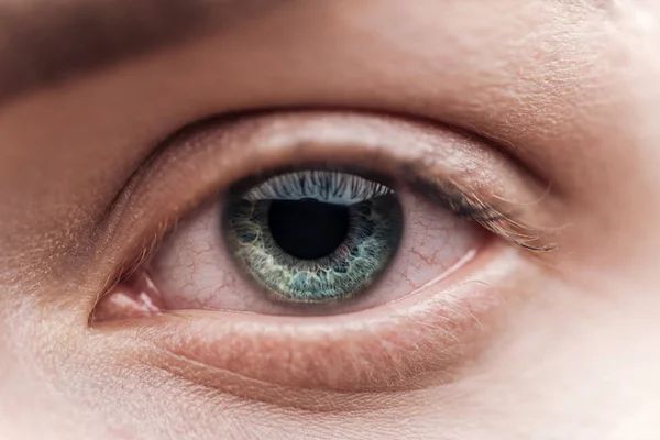 Vista de perto da jovem mulher olho verde com pestanas e sobrancelha — Fotografia de Stock