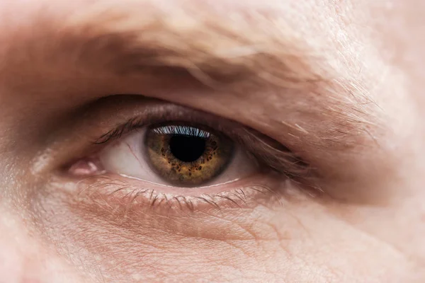 Close up view of mature man brown eye with eyelashes and eyebrow looking at camera — Stock Photo