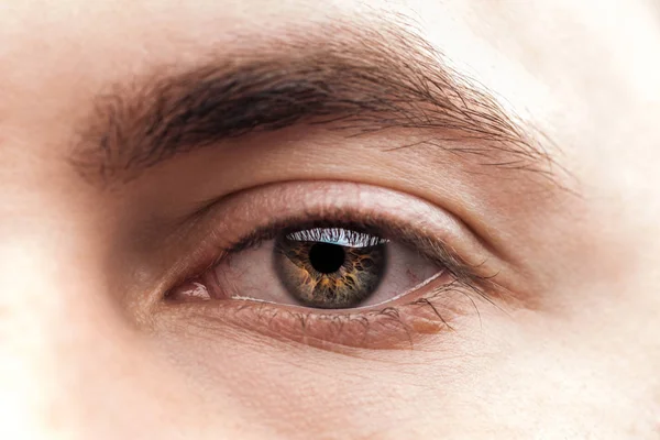 Close up view of young woman brown eye with eyelashes and eyebrow — Stock Photo