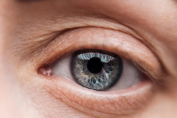 Vista de cerca de la mujer joven ojo azul con pestañas y cejas - foto de stock