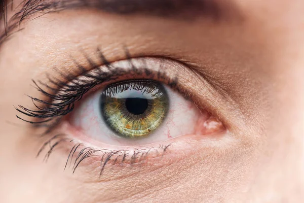 Крупный план зеленого глаза молодой женщины с веками и глазами, смотрящей в камеру — стоковое фото