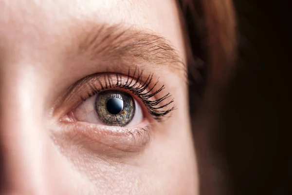 Vista de cerca del ojo gris de la mujer joven con pestañas y cejas mirando hacia otro lado - foto de stock