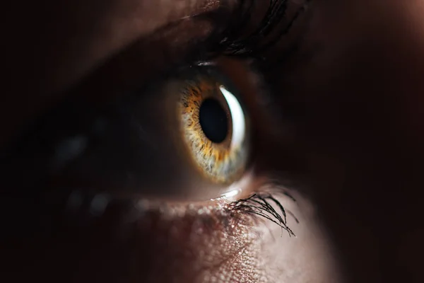 Close up view of human eye with eyelashes and eyebrow looking away in dark — Stock Photo