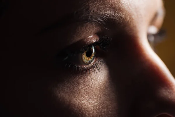 Vista de cerca del ojo de mujer adulta con pestañas y cejas mirando hacia otro lado en la oscuridad - foto de stock