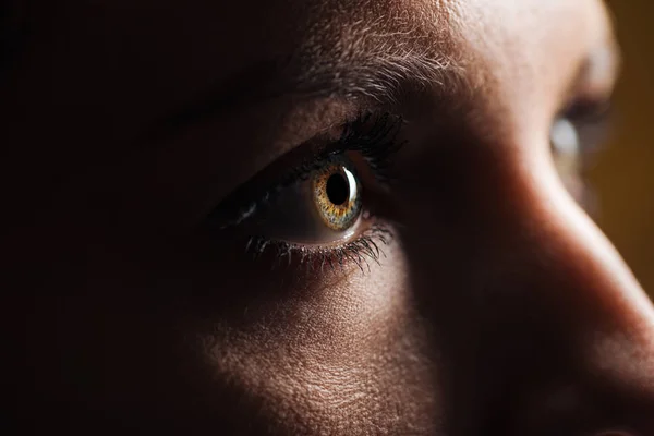 Vista de cerca del ojo de mujer adulta con pestañas y cejas mirando hacia otro lado en la oscuridad - foto de stock