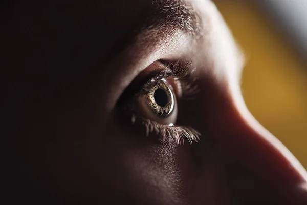 Vista de cerca del ojo del hombre adulto con pestañas y cejas mirando hacia otro lado en la oscuridad - foto de stock