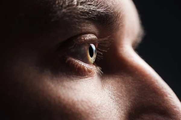 Vista de cerca del ojo del hombre adulto con pestañas y cejas mirando hacia otro lado en la oscuridad - foto de stock