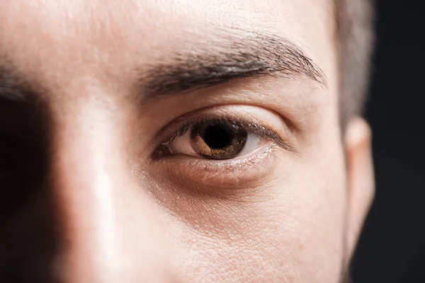 Vista de cerca del hombre adulto ojo marrón con pestañas y cejas mirando a la cámara aislada en negro - foto de stock