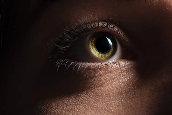 Vista de cerca del ojo de mujer adulta con pestañas y cejas mirando hacia otro lado - foto de stock