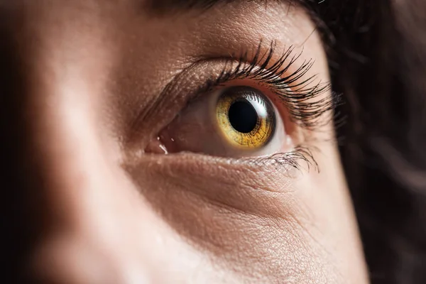 Nahaufnahme des Auges einer jungen Frau mit Wimpern und Augenbrauen, die wegschauen — Stockfoto