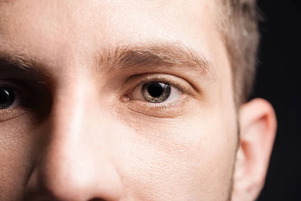 Close up view of adult man eyes with eyelashes and eyebrows looking at camera — Stock Photo