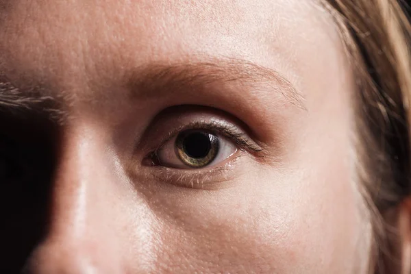 Close up view of woman eye with eyelashes and eyebrow looking at camera — Stock Photo