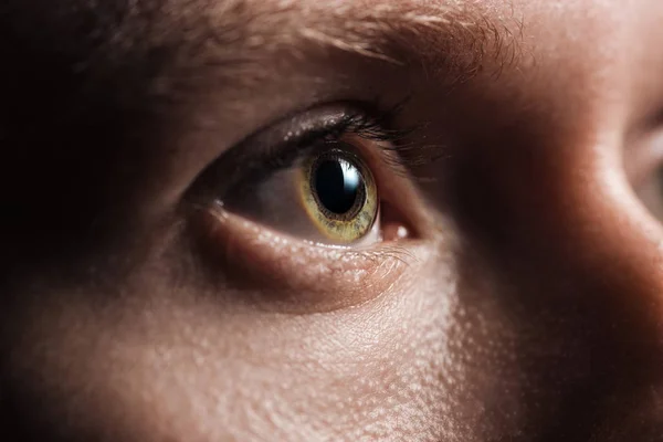 Close up view of human eye with eyelashes and eyebrow looking away in dark — Stock Photo