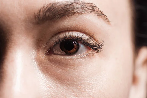 Vista de cerca de la mujer joven ojo marrón con pestañas y cejas mirando a la cámara - foto de stock