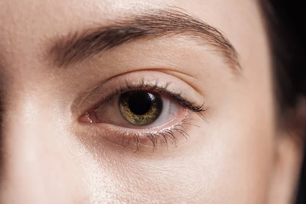 Vista de cerca de la mujer joven ojo verde mirando a la cámara - foto de stock