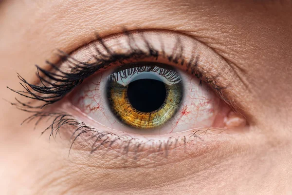 Vista de cerca del ojo humano marrón y verde colorido con pestañas - foto de stock