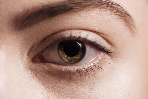 Крупный план человеческого коричневого глаза, смотрящего на камеру — стоковое фото