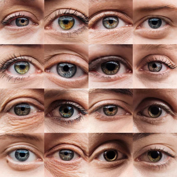 Collage con hermosos ojos humanos de diferentes colores - foto de stock